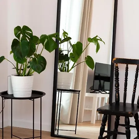 Apartment Zasciankowa *
